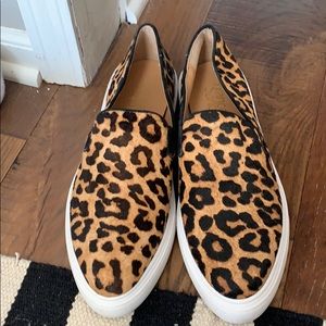 Fabulous Franco Sarto leopard!!
